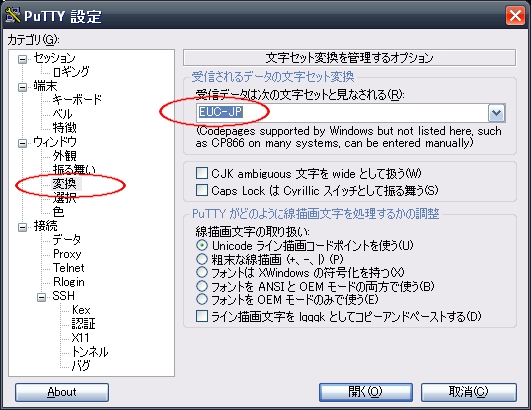 Figure:PuTTY SSH check char-code